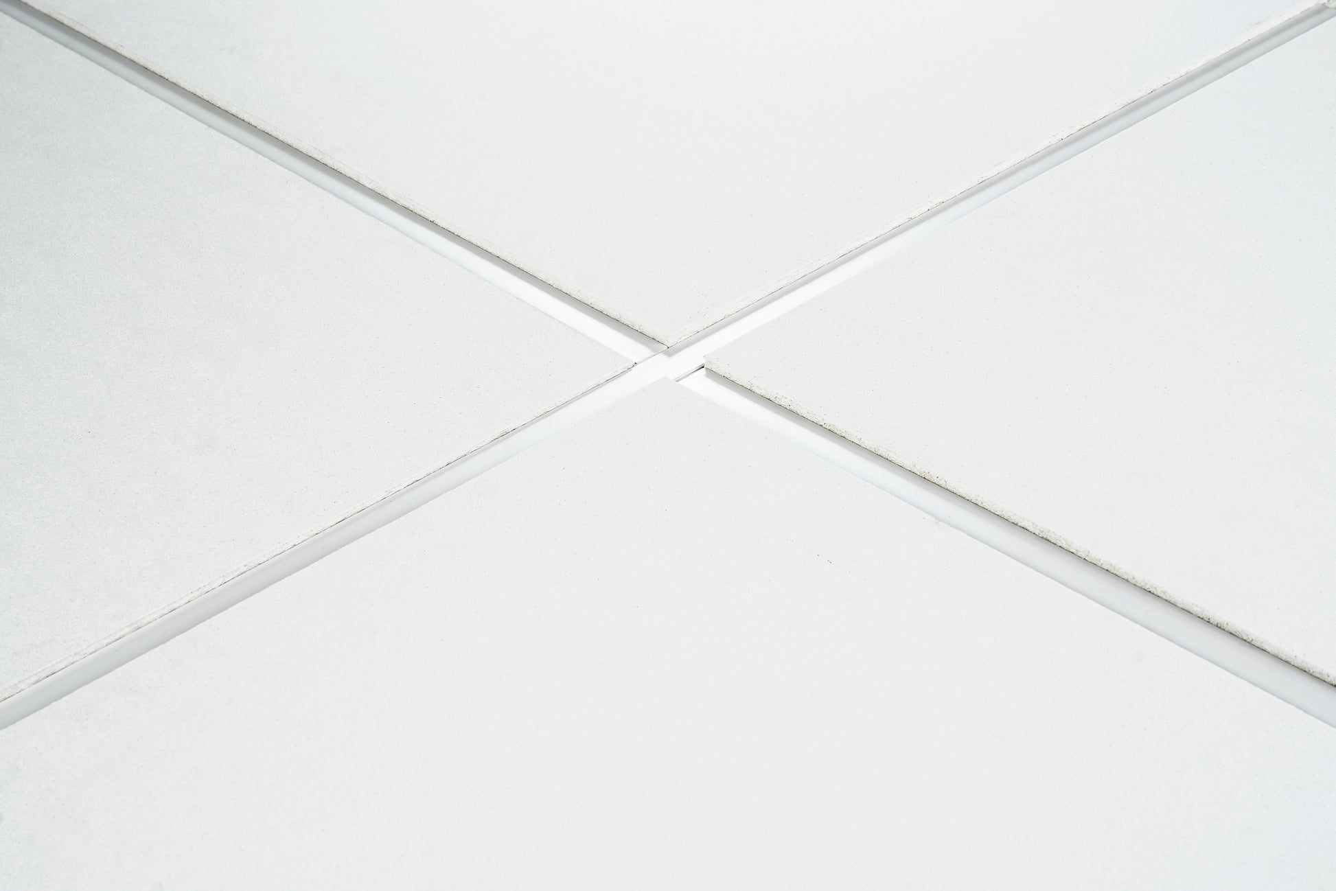 Rockfon Ceilings Tiles