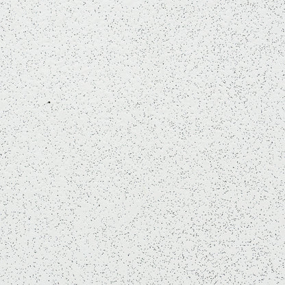 Rockfon Ceilings Tiles